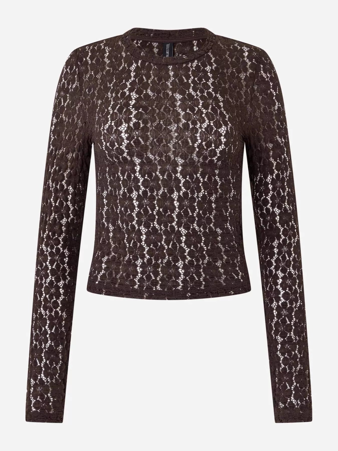 Lace Round Neck Long Sleeve Blouse