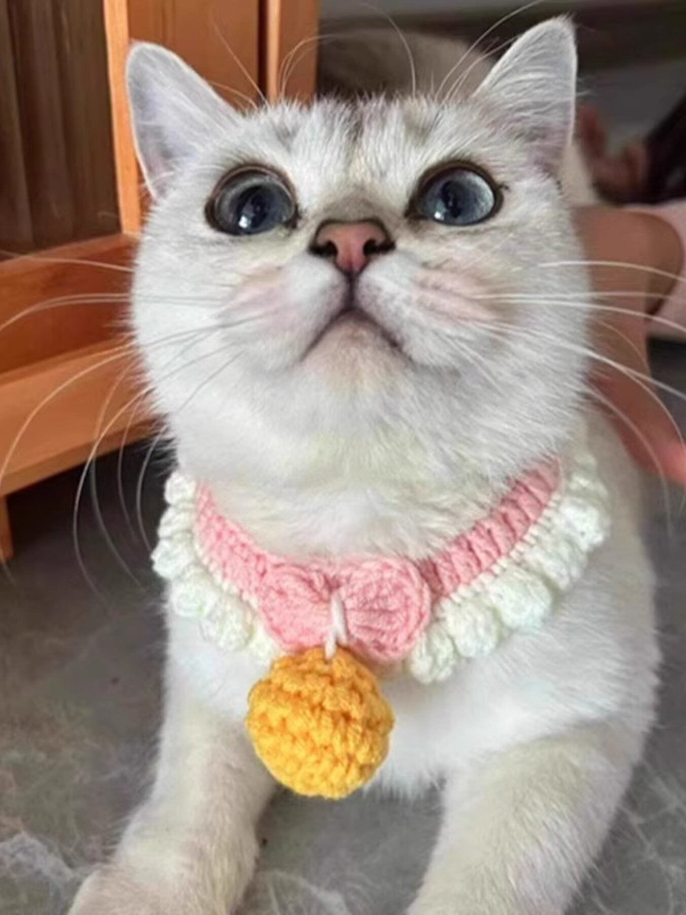 Crochet Pet Collars with Bell