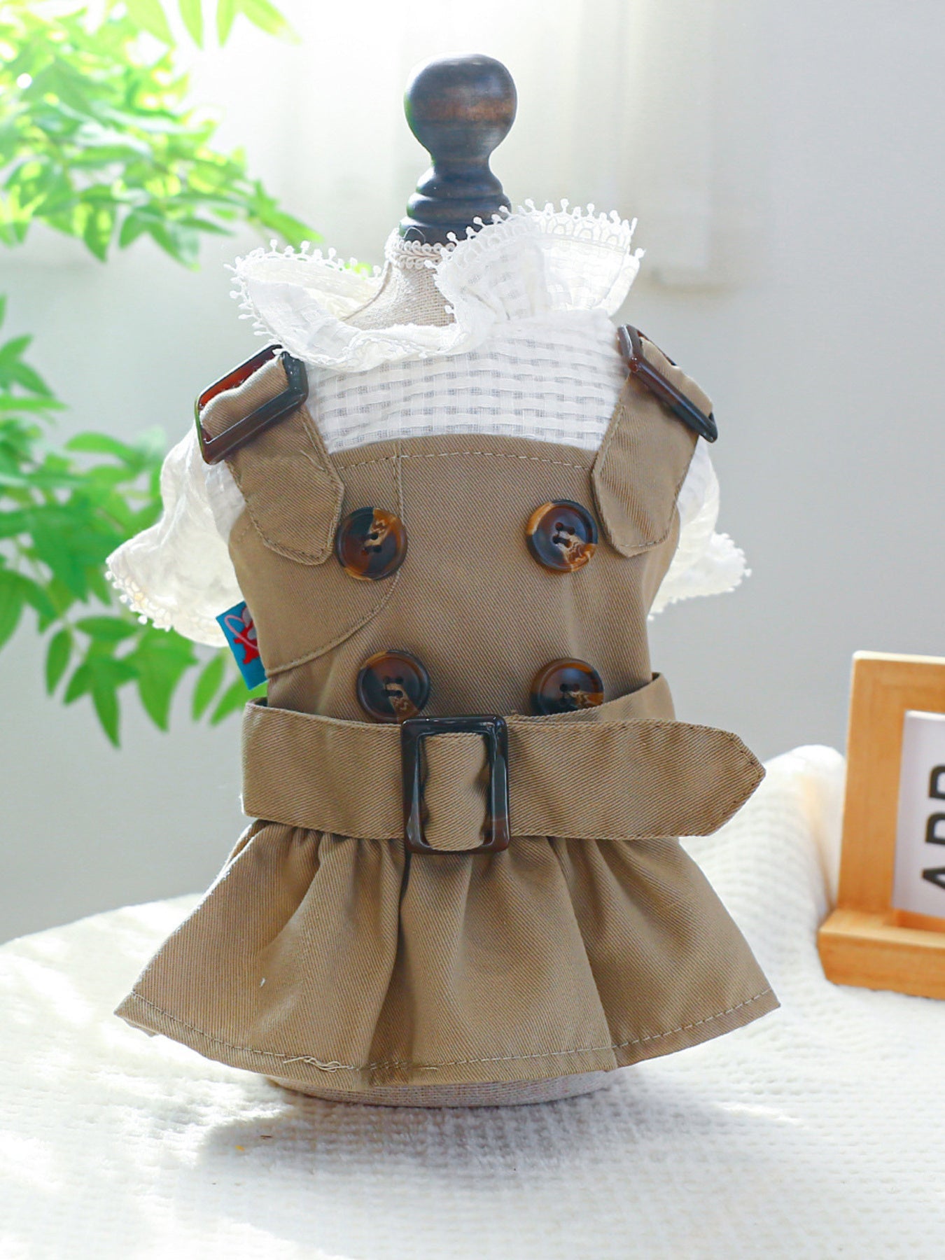Buckle Pet Trench Coat