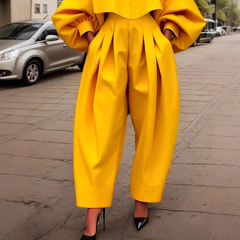 Women's Casual Work 2 Piece Set Bell Long Sleeve Shirt Harem Pant Outfits (See size chart where applicable)