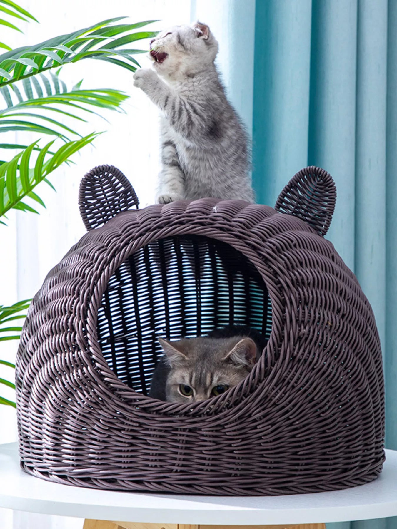 Rattan Washable Breathable Pet Nest