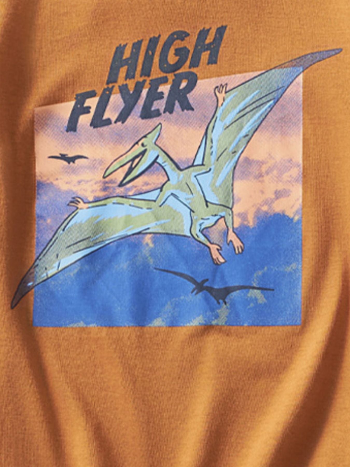 Children's High Flyer Dinosaur Graphic Short Sleeve T-Shirt