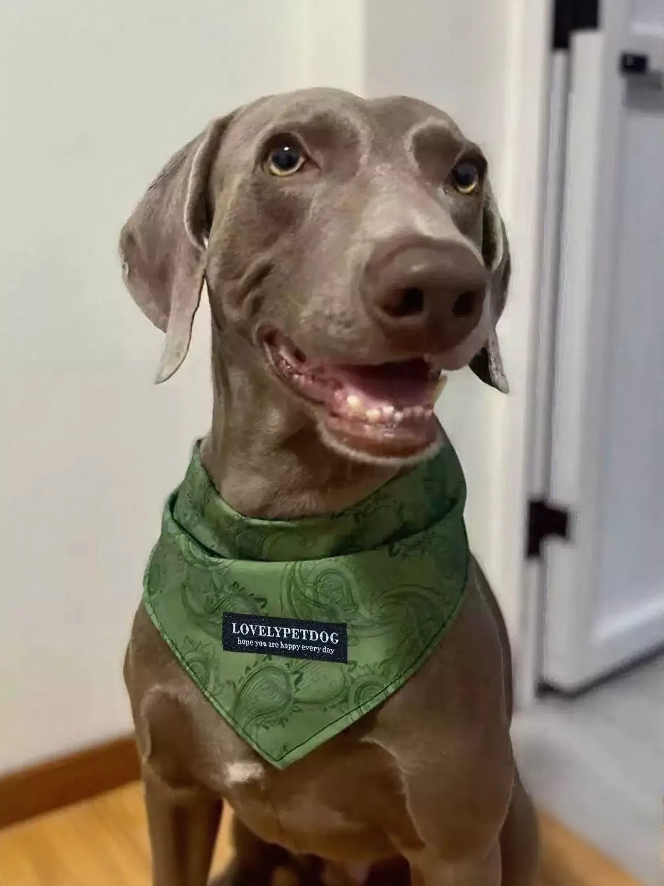 Lightweight Pet Scarf
