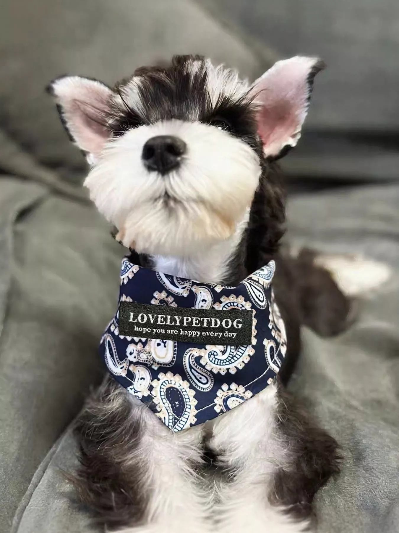 Lightweight Pet Scarf