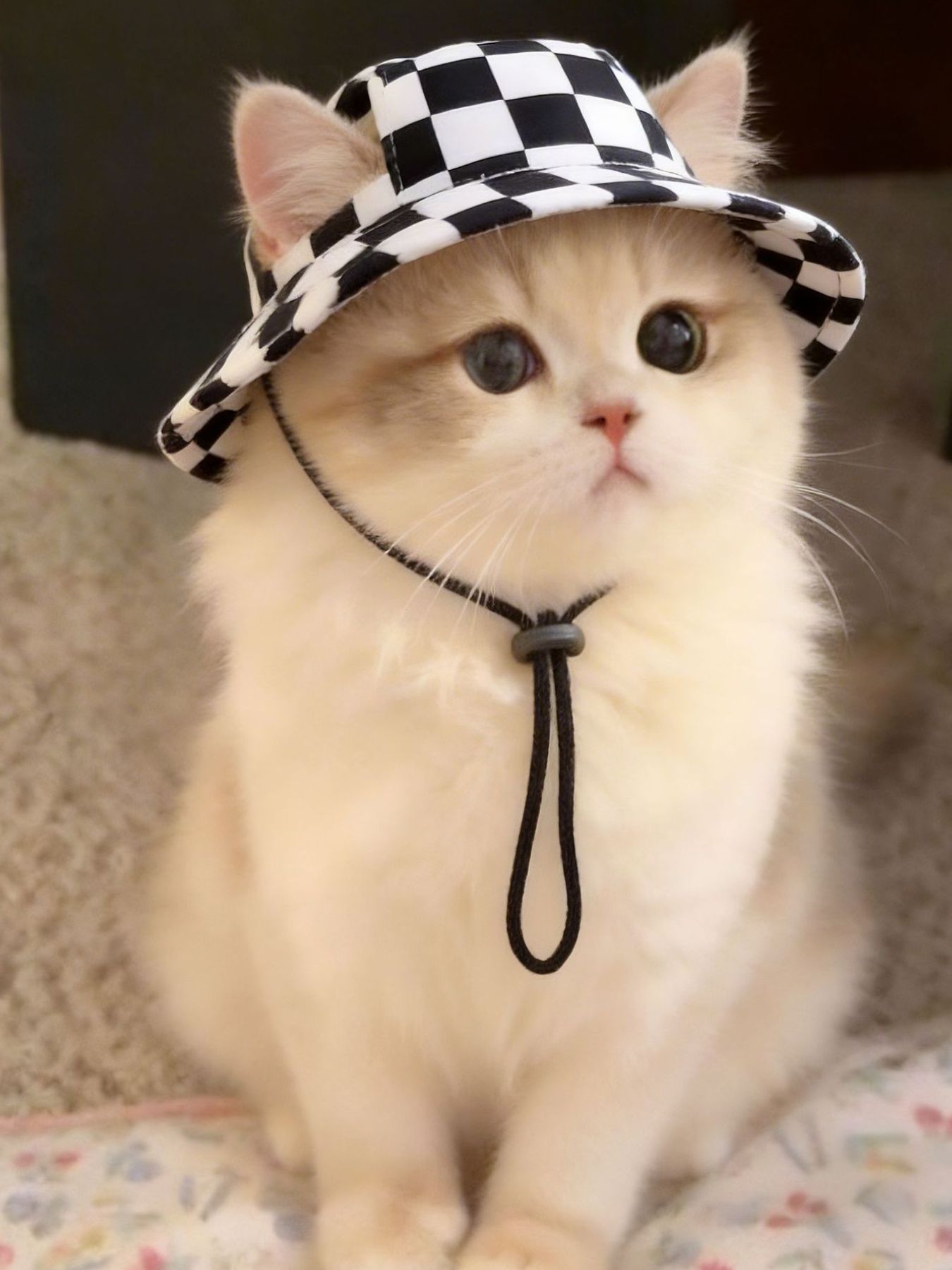 Adjustable Chin Strap Pet Bucket Hat