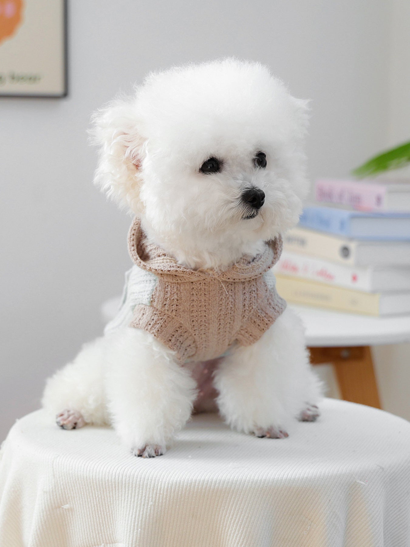 Flower Knitted Pet Hoodie