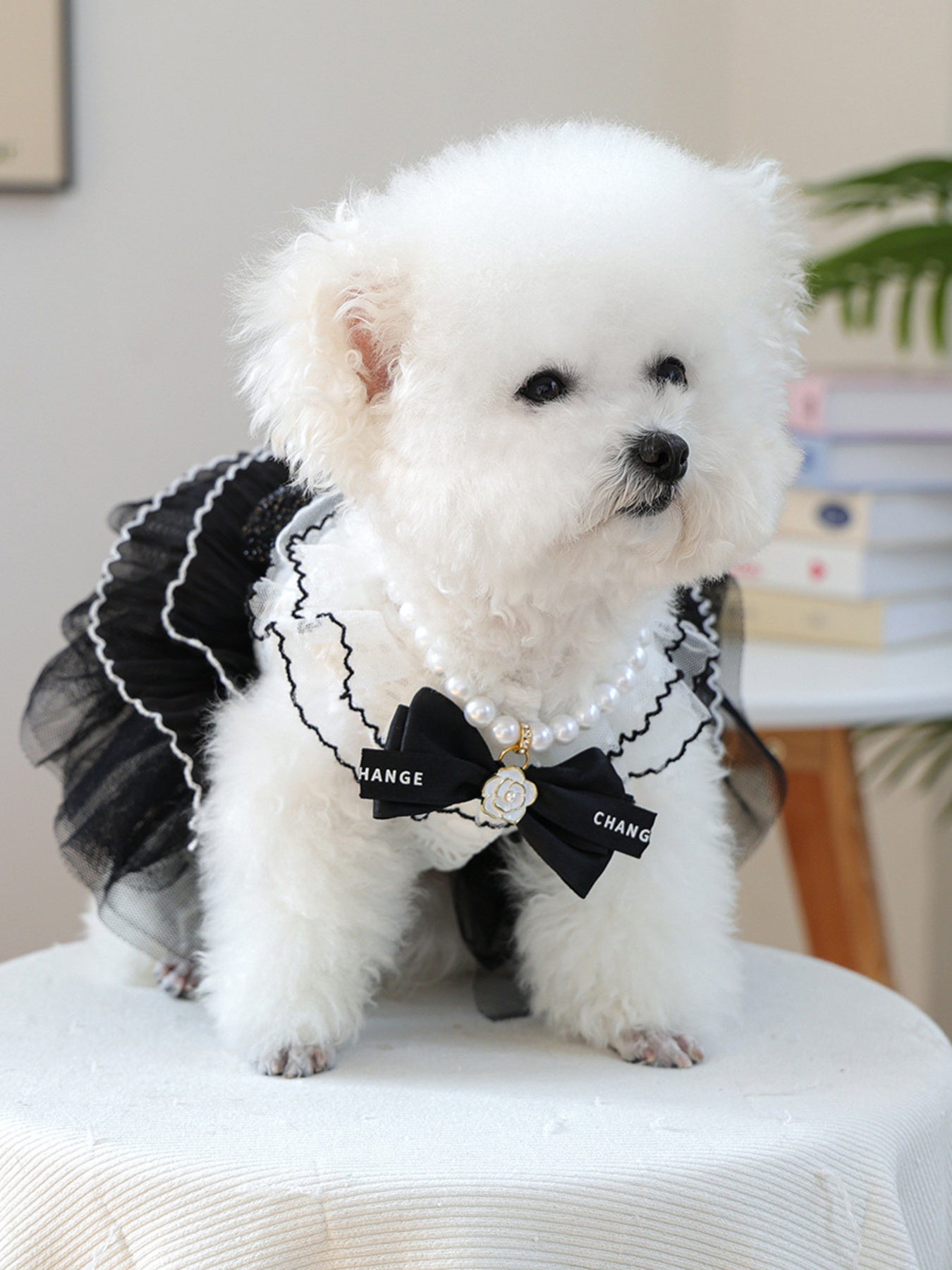 Pearl Bowknot Pet Necklace