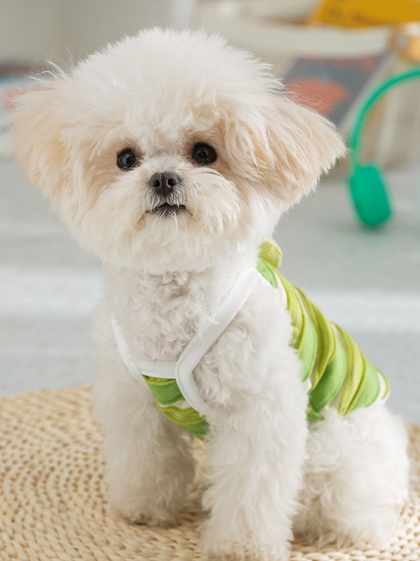 Striped Breathable Pet Top