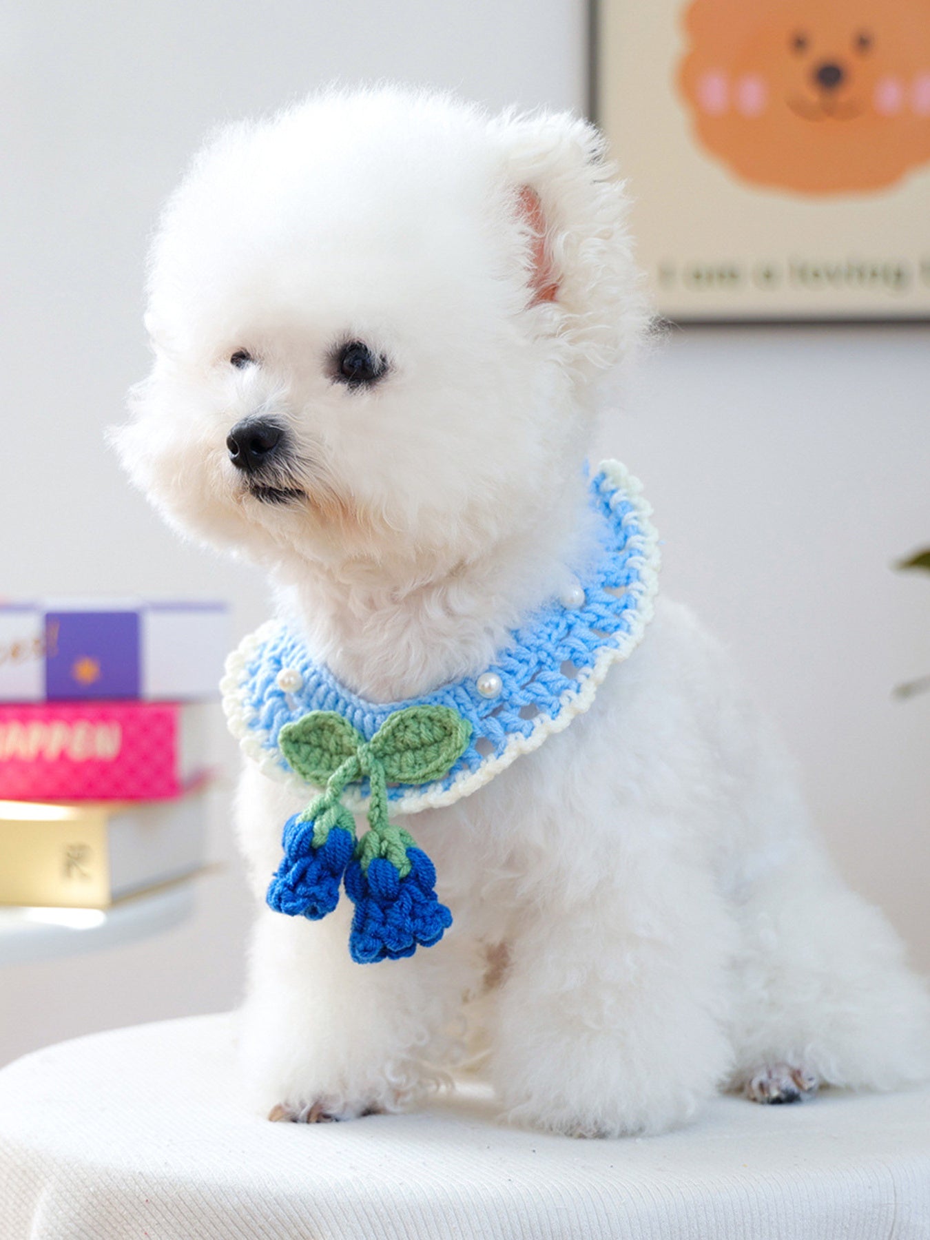 Contrast Pet Scarf