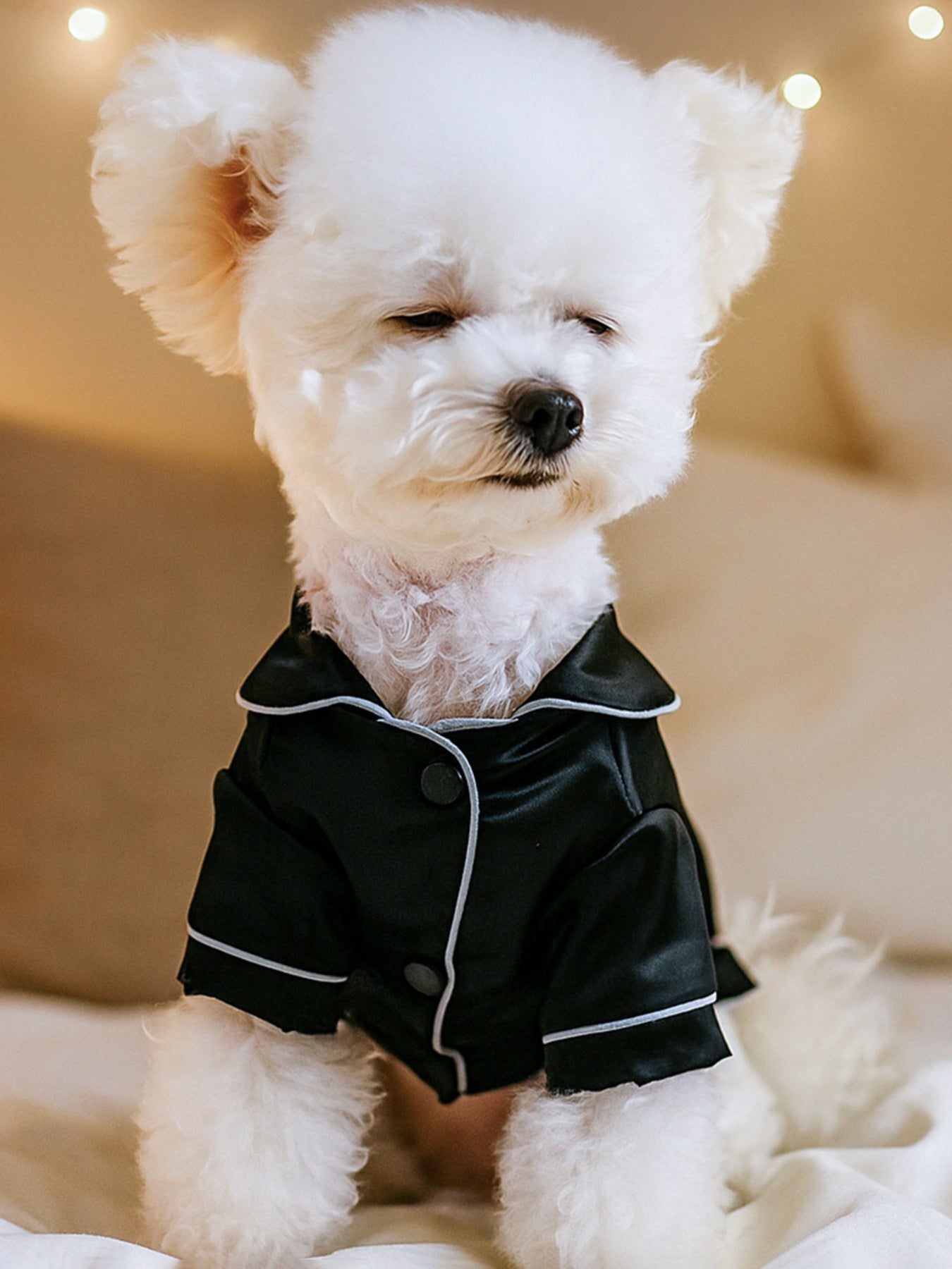 Satin Pet Pajamas with Contrast Piping