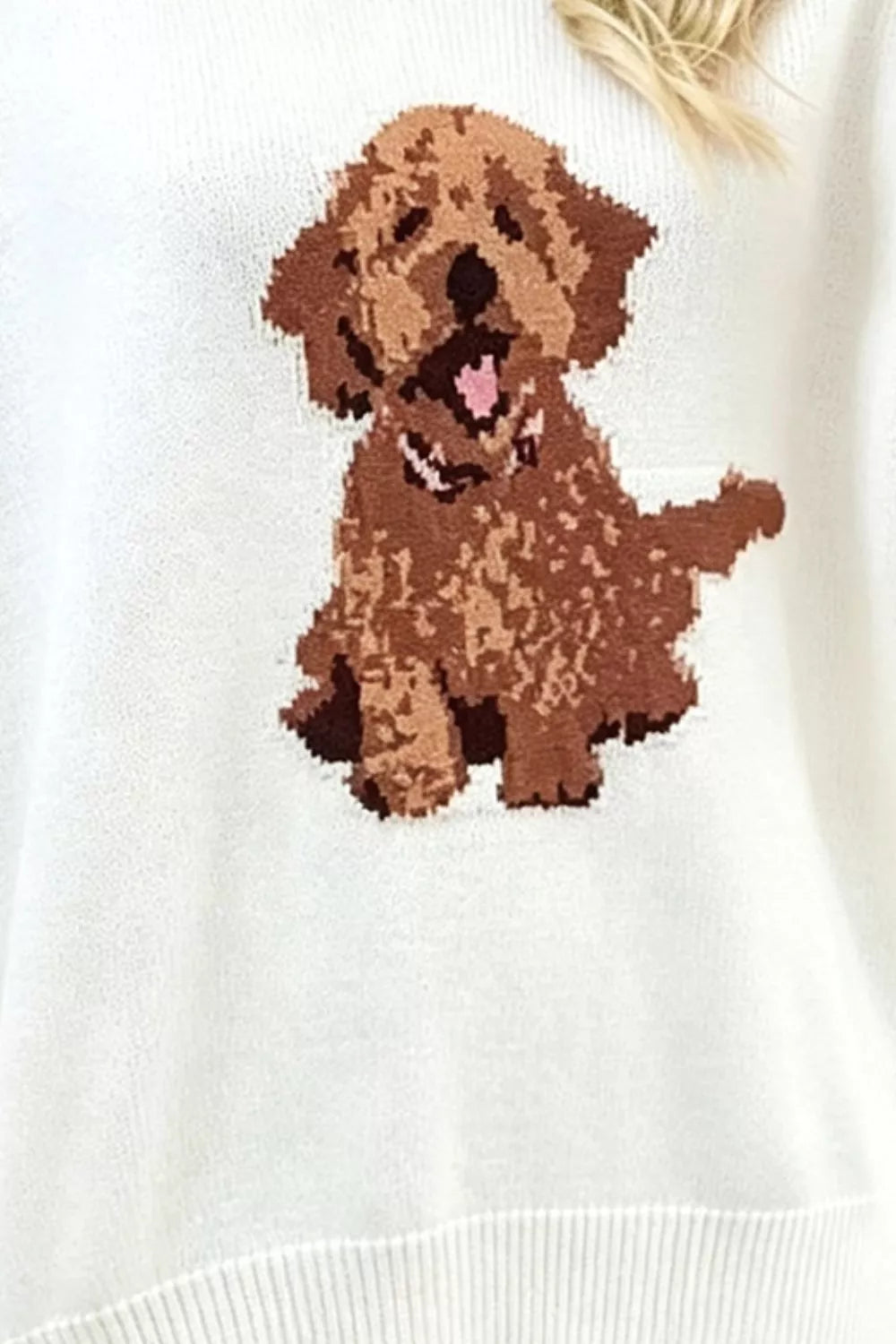 Puppy Graphic Round Neck Sweater