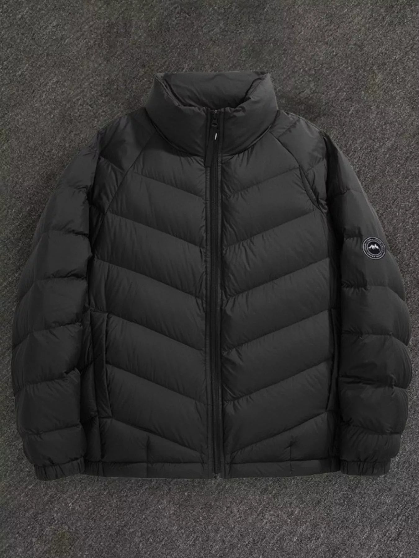 Men's Plus Size Zip Up Stand Collar Down Jacket