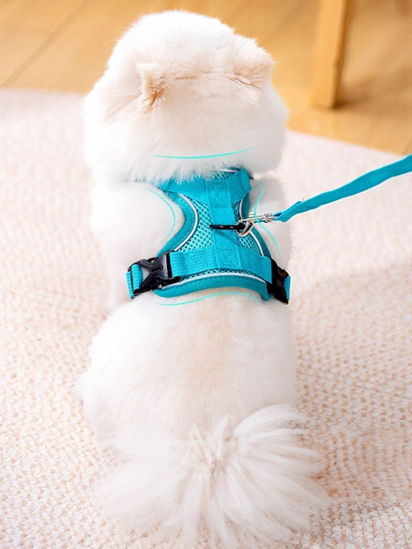 Pet Harness and Leash Set