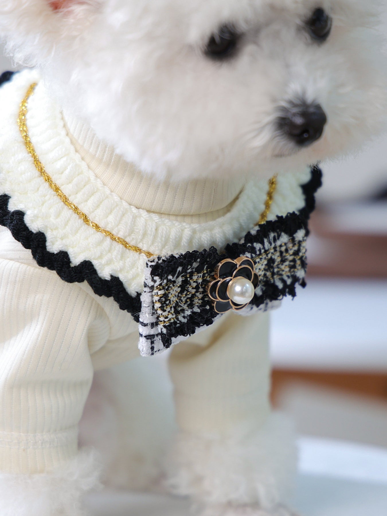 Contrast Pet Scarf