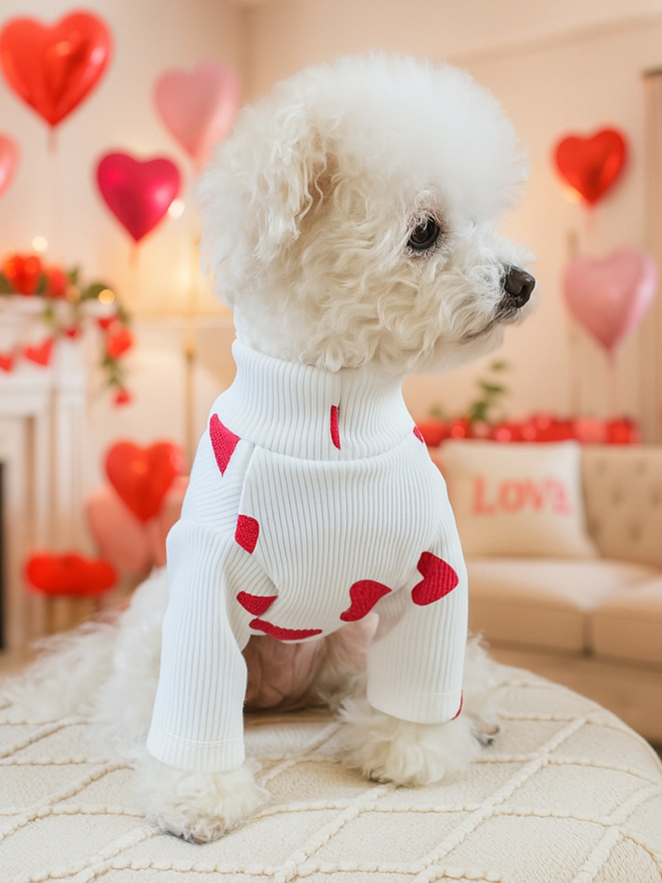 Heart Pattern Pet Sweater
