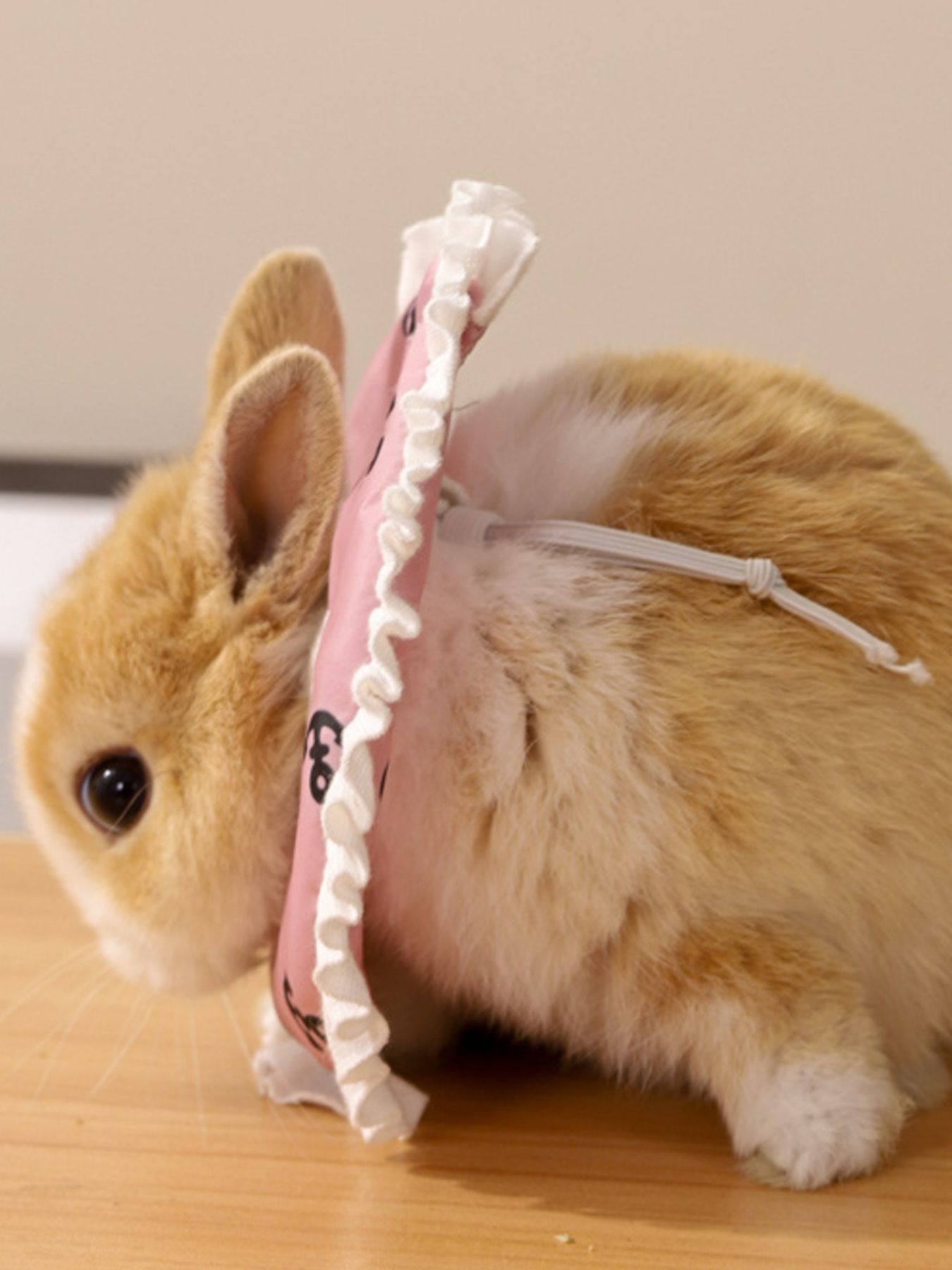 Adjustable Pet Collars