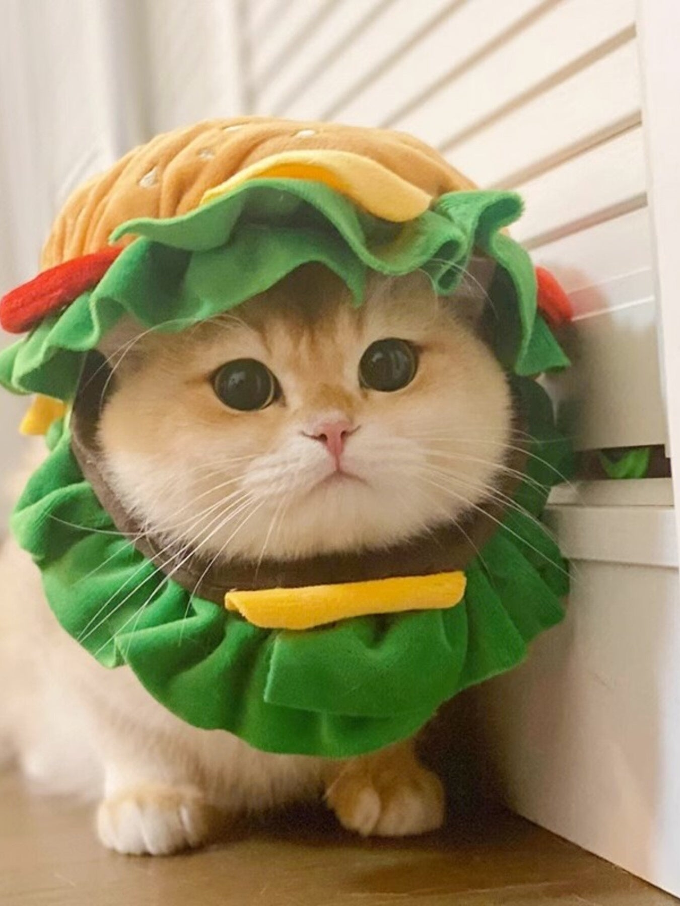 Hamburger Style Pet Headwear