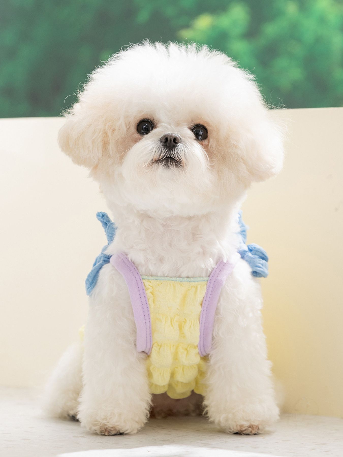 Bubble Textured Tie Shoulder Pet Top