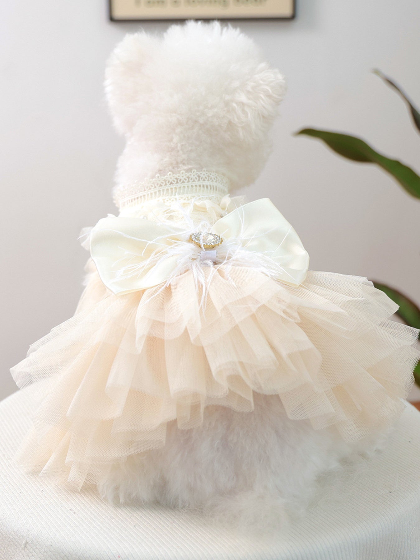 Bow Tulle Ruffle Pet Dress