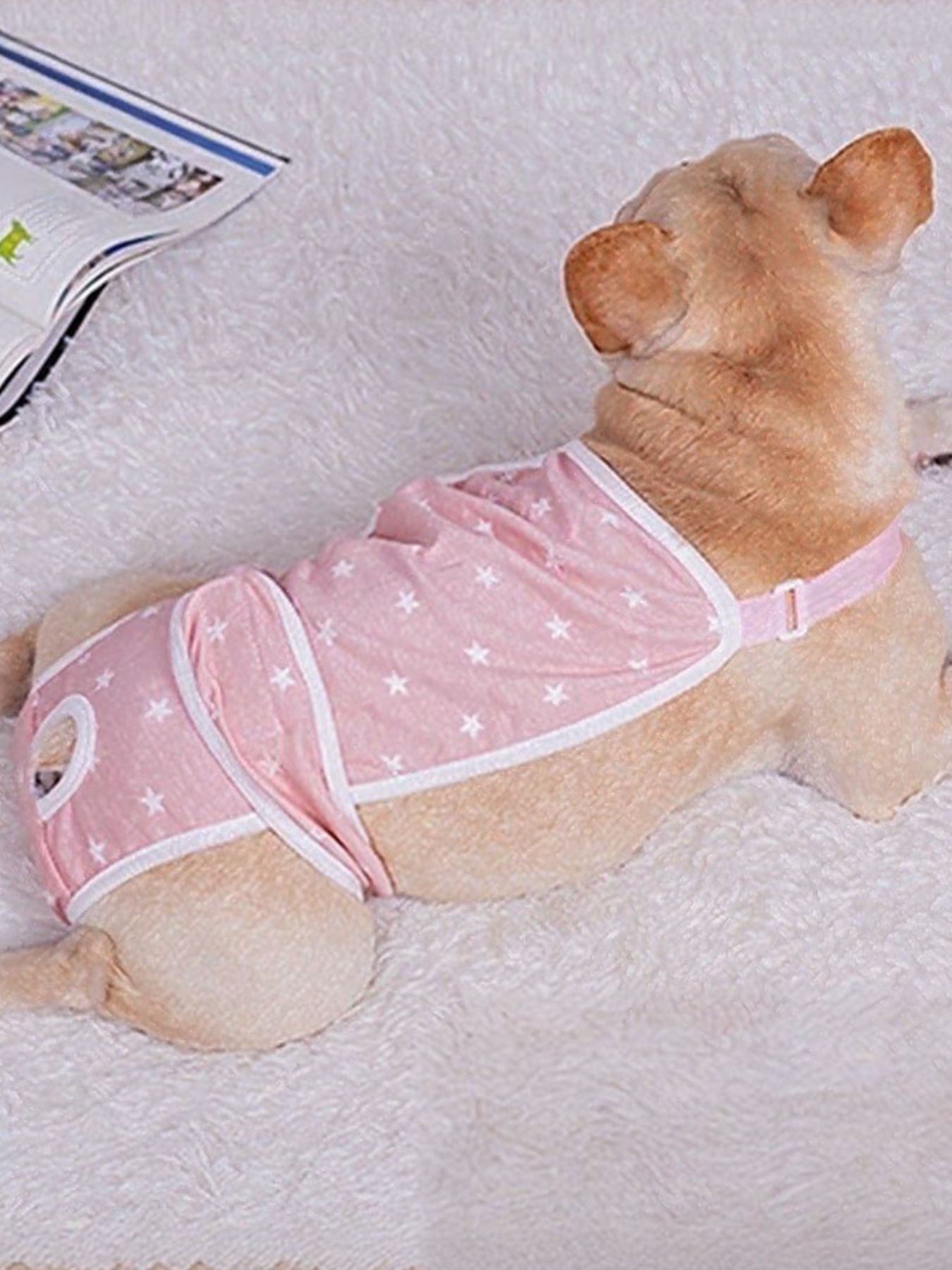 Anti-Harassment Pet Functional Clothing