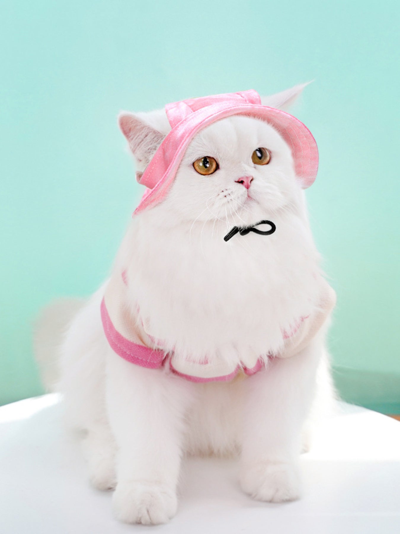 Adjustable Pet Visor Hat