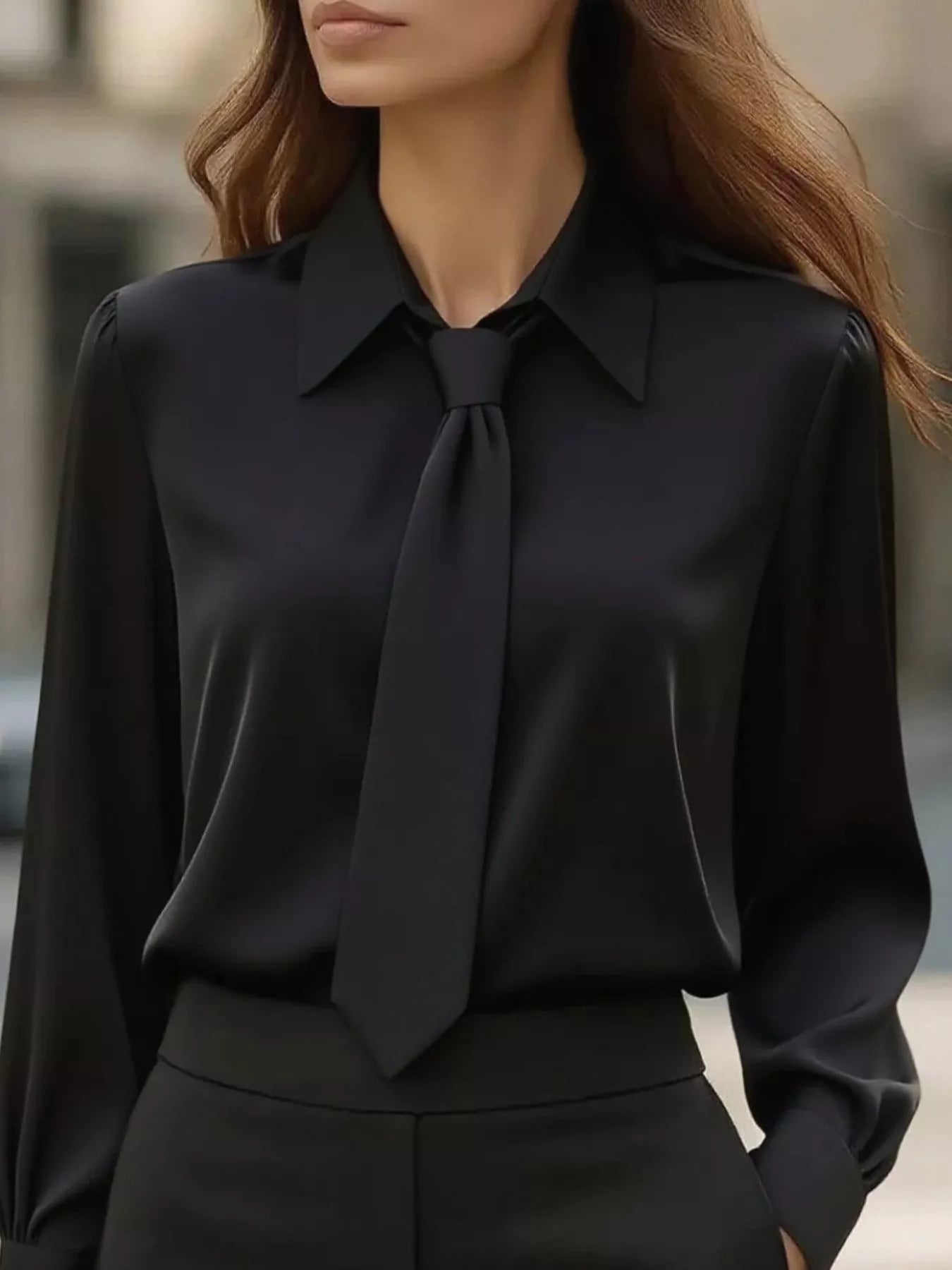 Collared Neck Long Sleeve Blouse