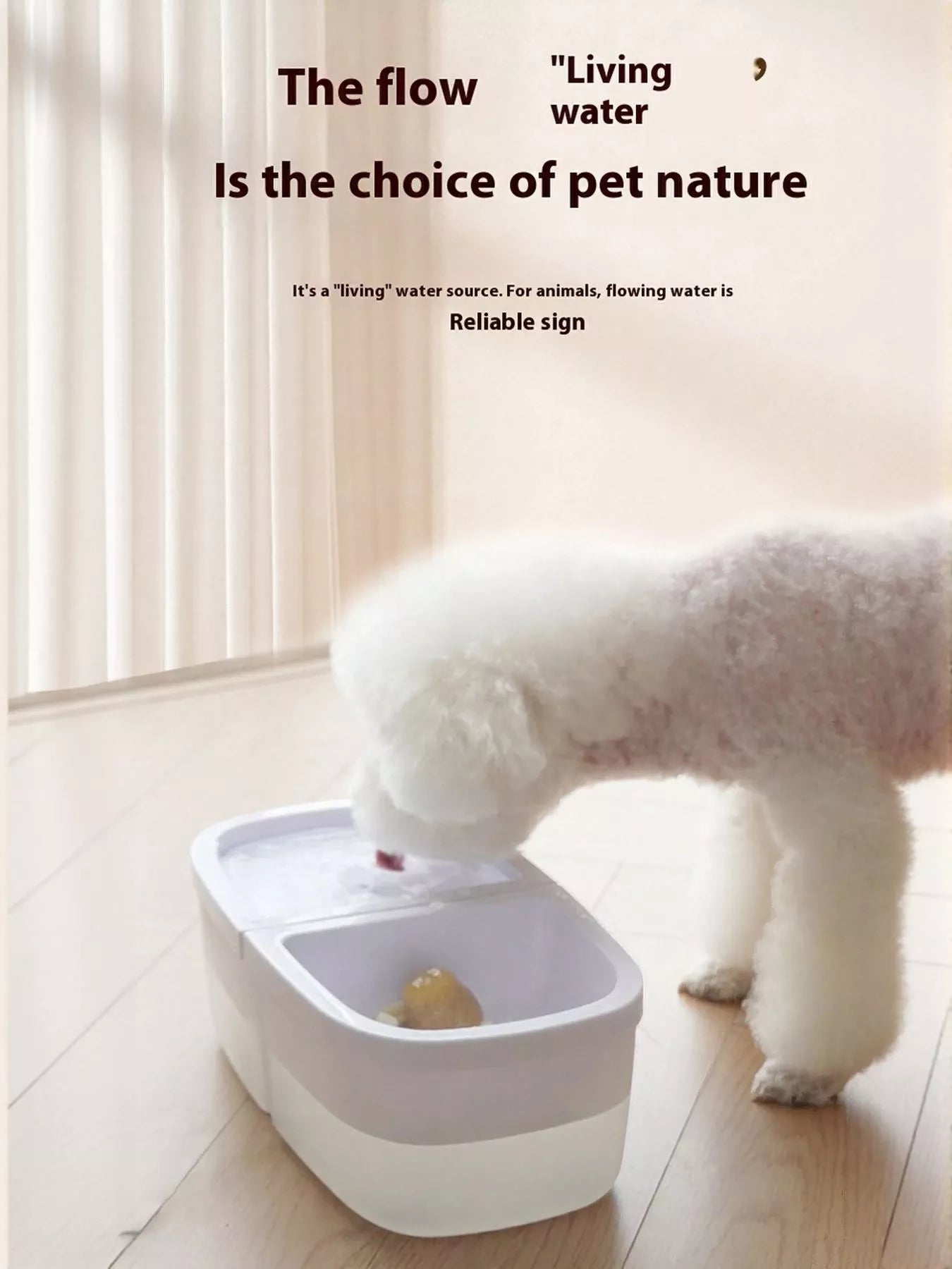 2-in-1 Automatic Water Dispenser & Food Bowl Pet Bowl