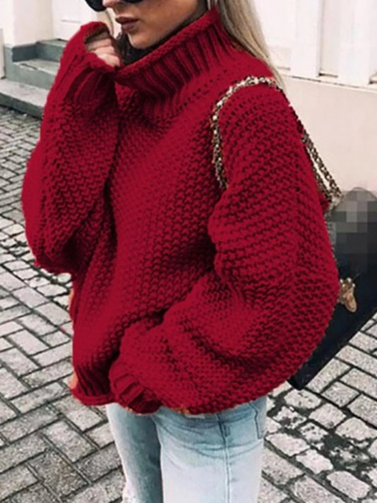 Chunky Knit Turtleneck Sweater