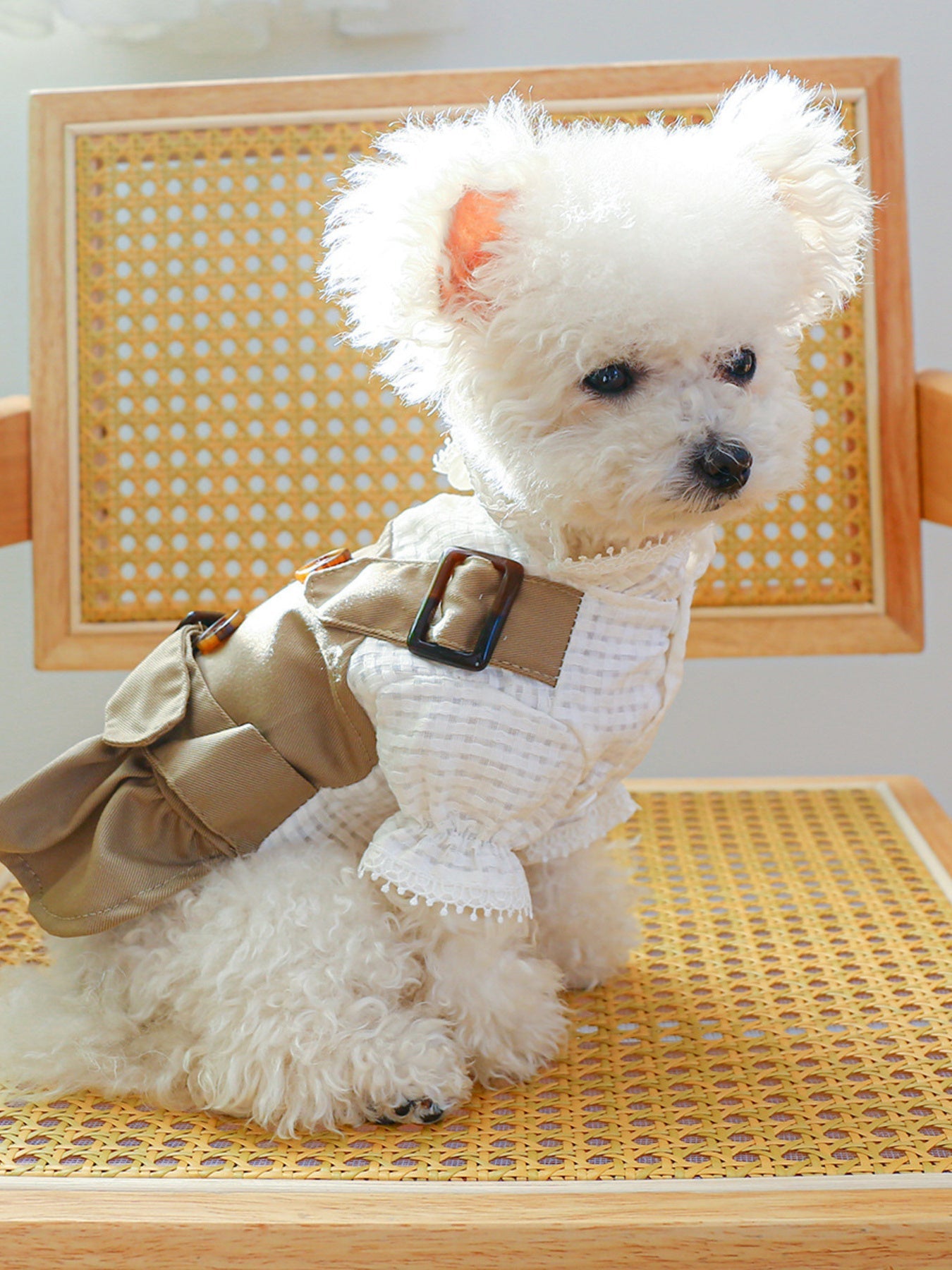 Buckle Pet Trench Coat
