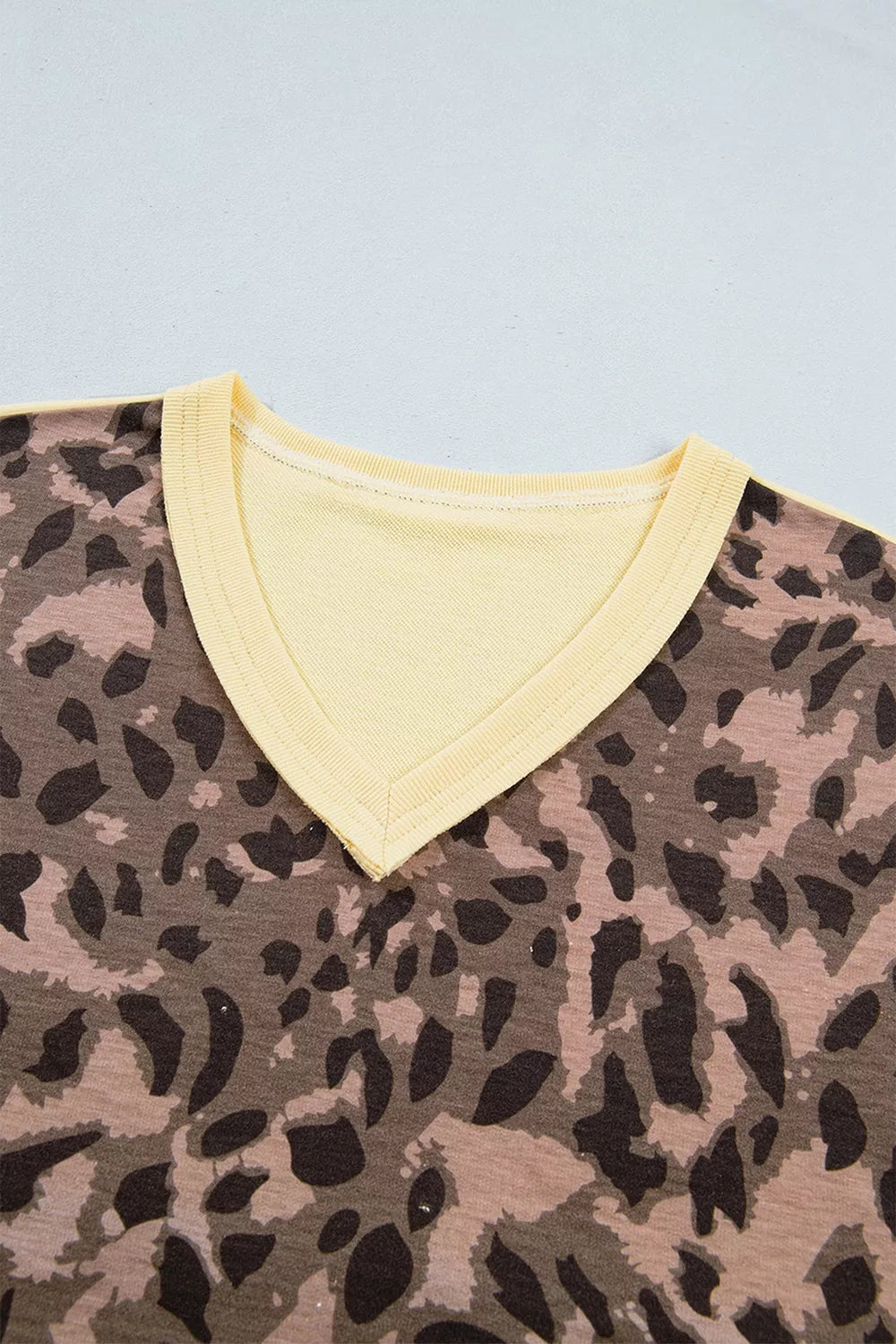 Leopard Print Long Sleeve V-Neck Top & Wide Leg Pant Set