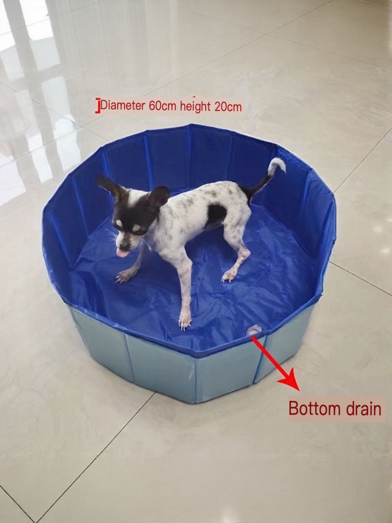Foldable Pet Bath Pool with Side Drain