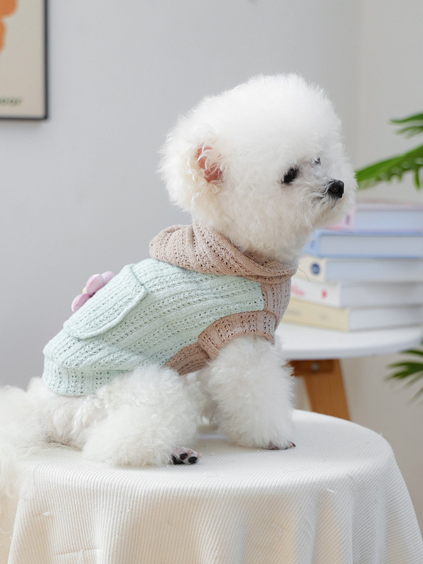 Flower Knitted Pet Hoodie