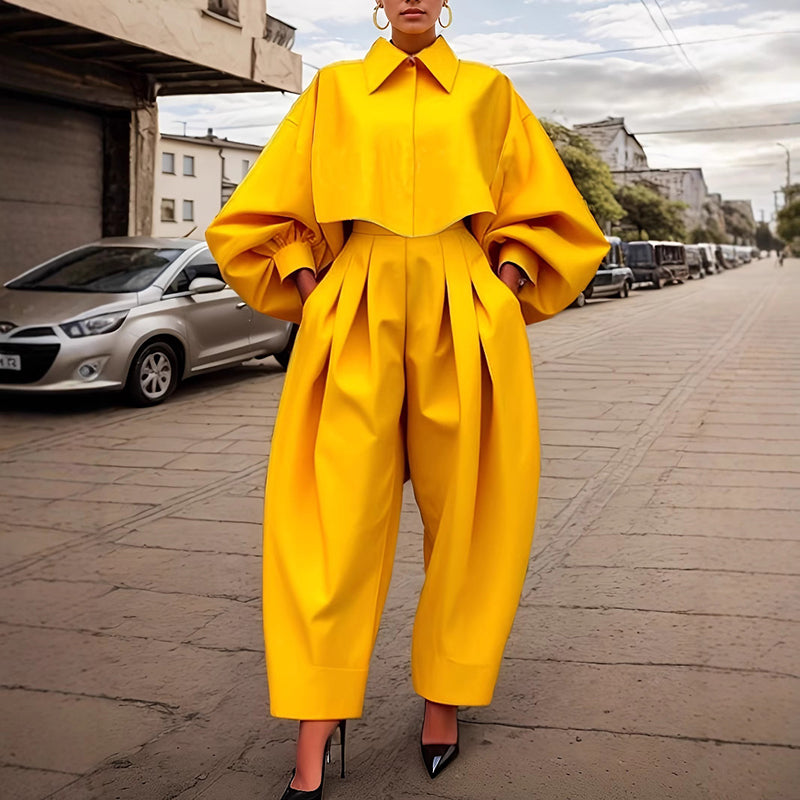 Women's Casual Work 2 Piece Set Bell Long Sleeve Shirt Harem Pant Outfits (See size chart where applicable)