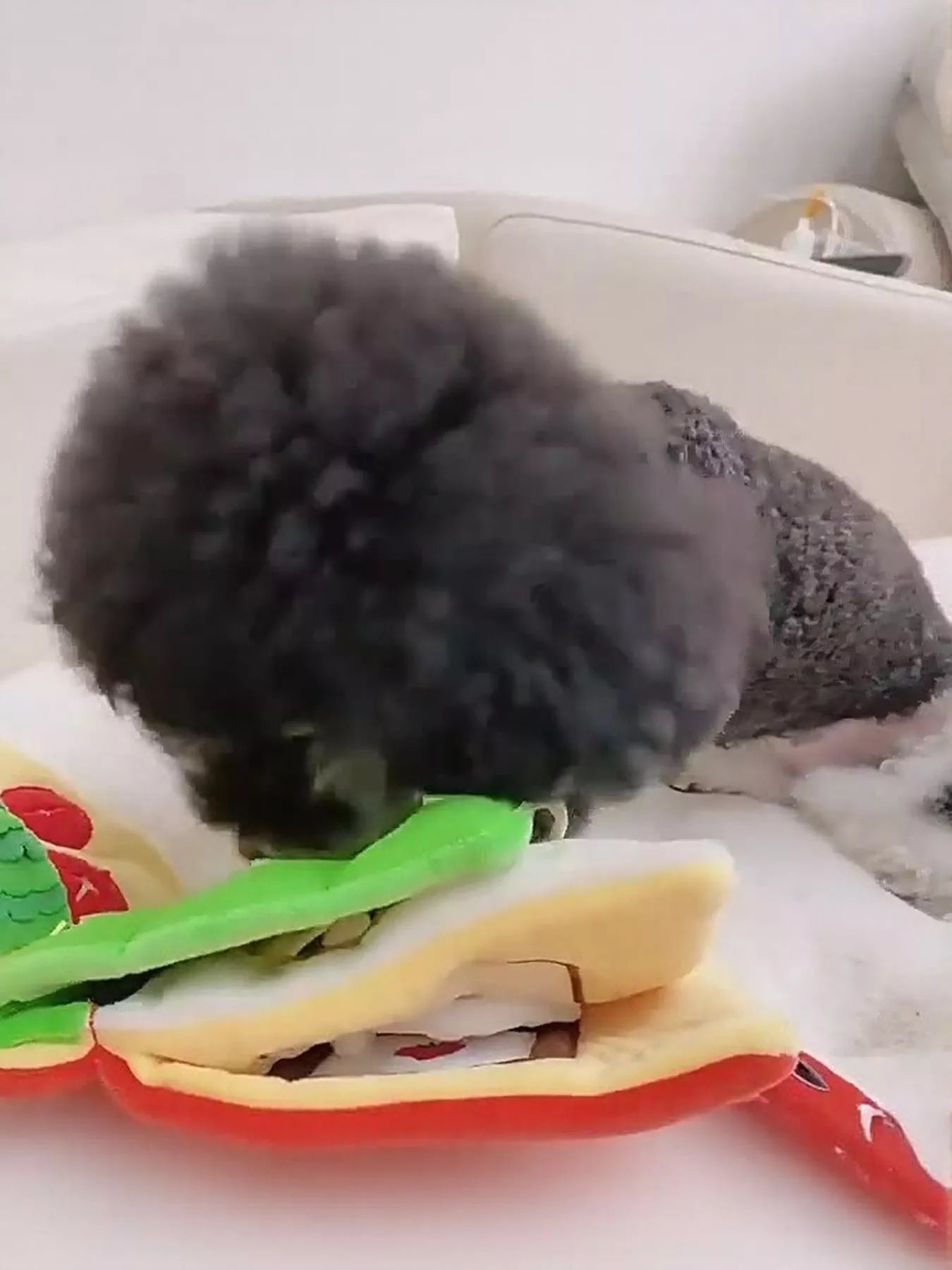 Interactive Crinkle Book Pet Sound Toy
