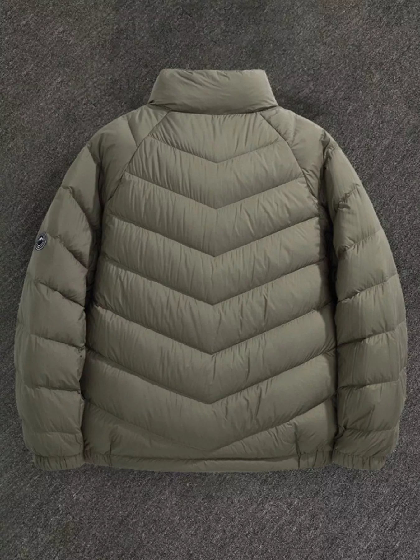 Men's Plus Size Zip Up Stand Collar Down Jacket