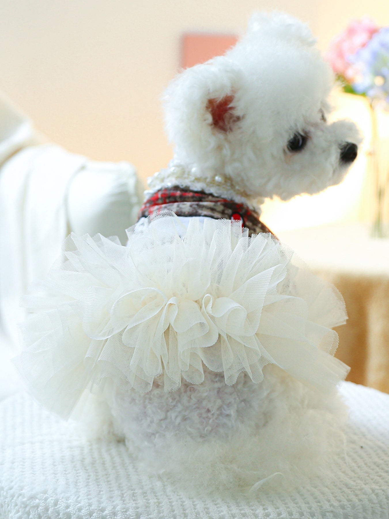 Pearl Collar Pet Dress
