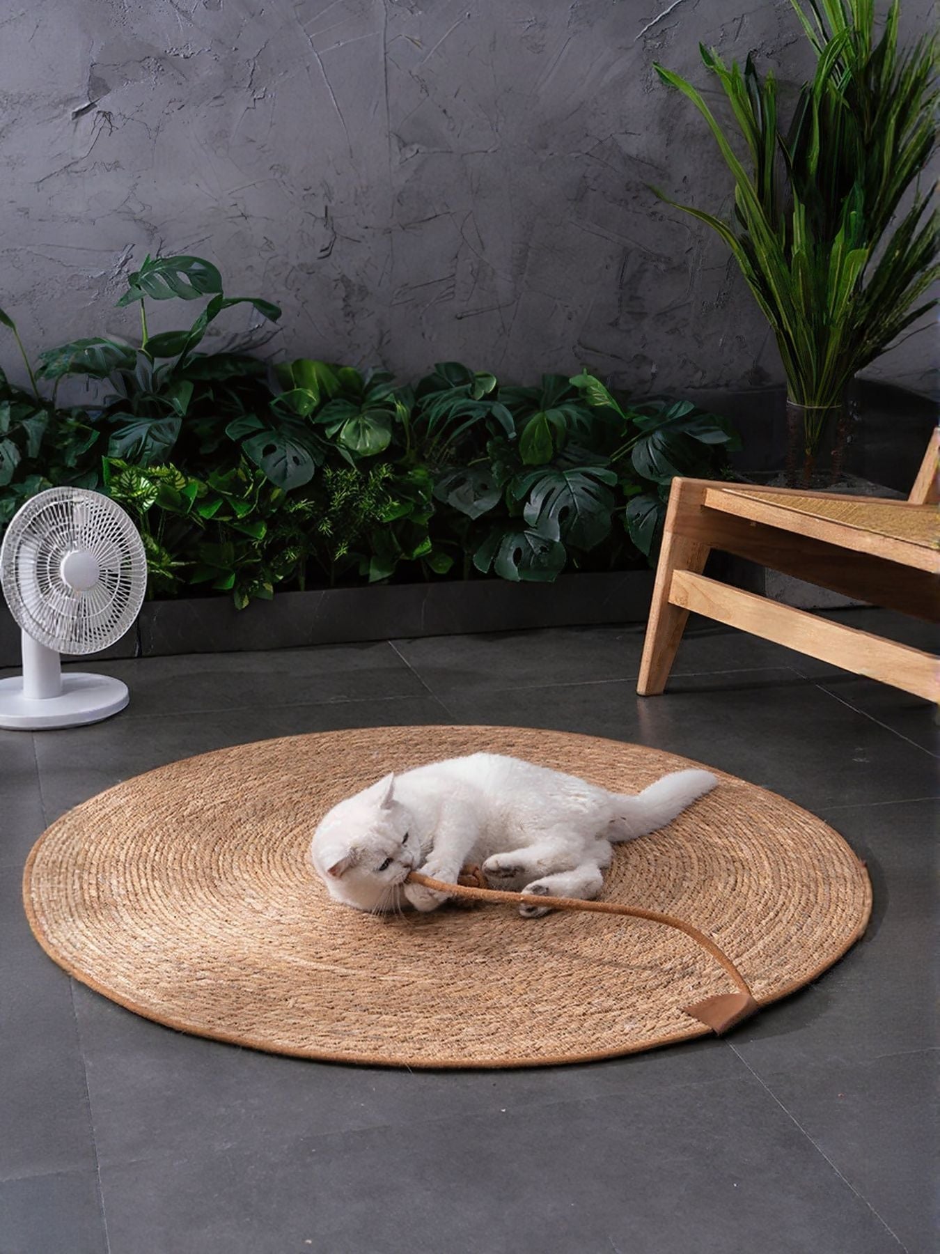 Round Braided Pet Mat