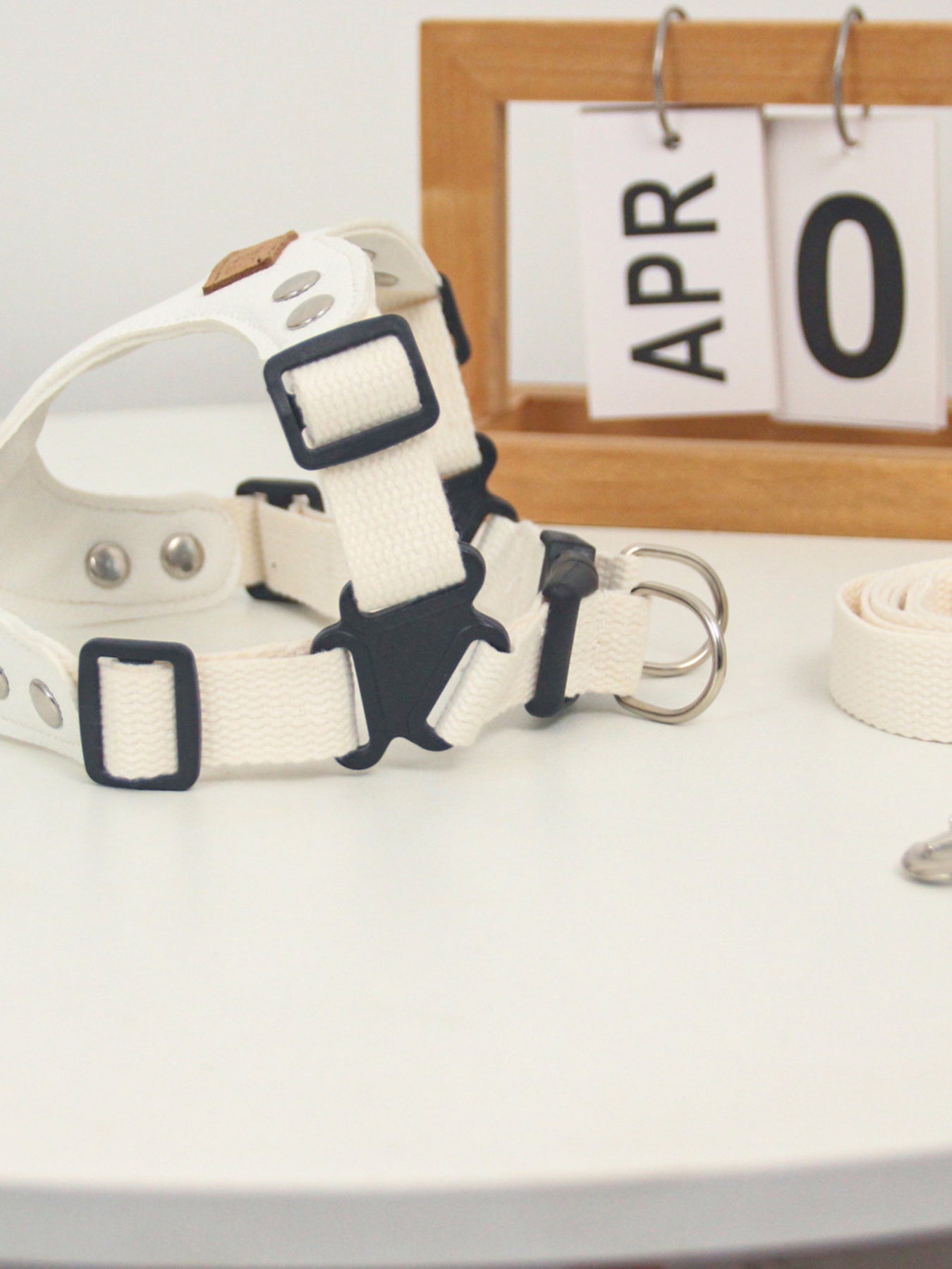 Rivet-Decorated Dog Harness Leash Set