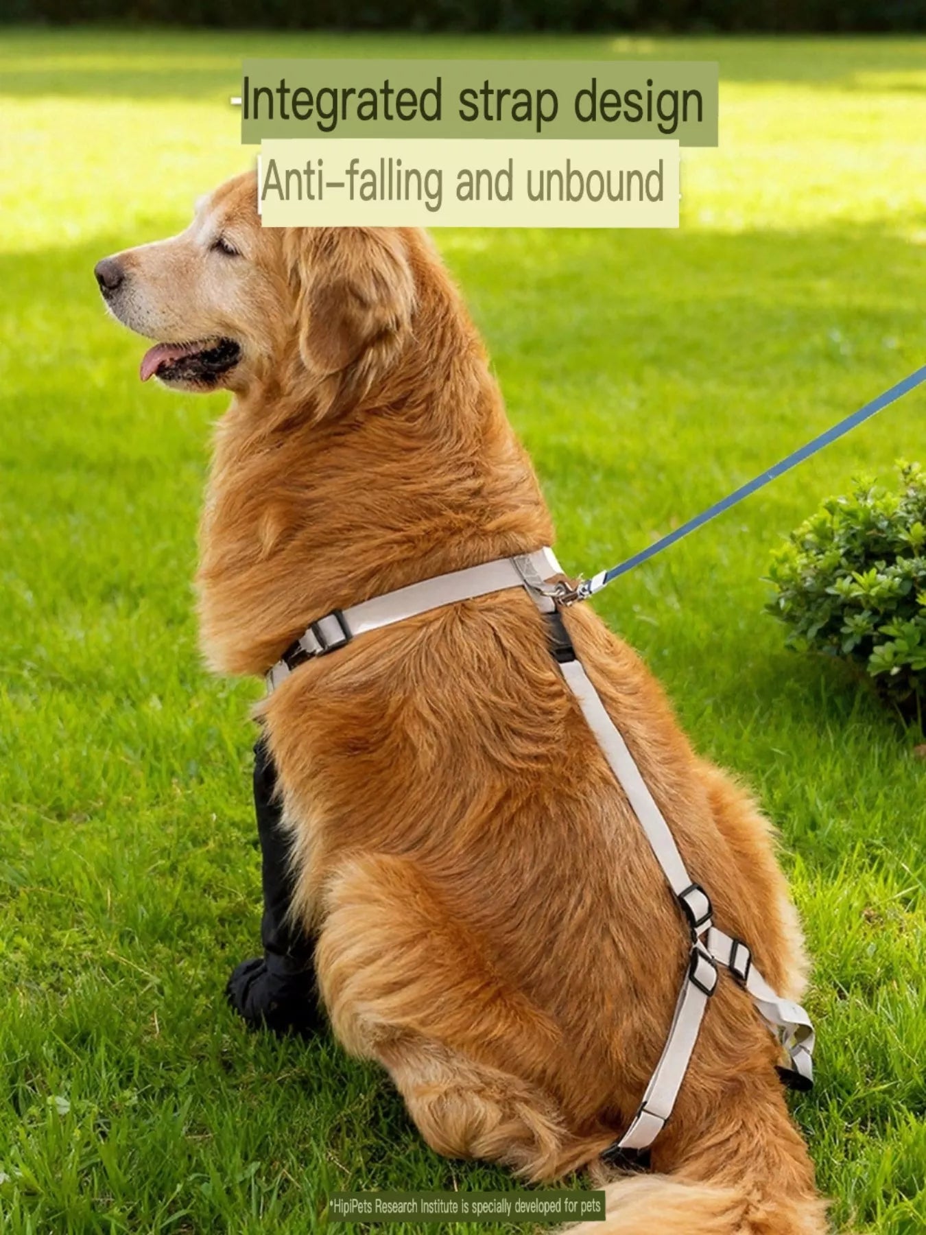 Protective Legging Pet Shoes