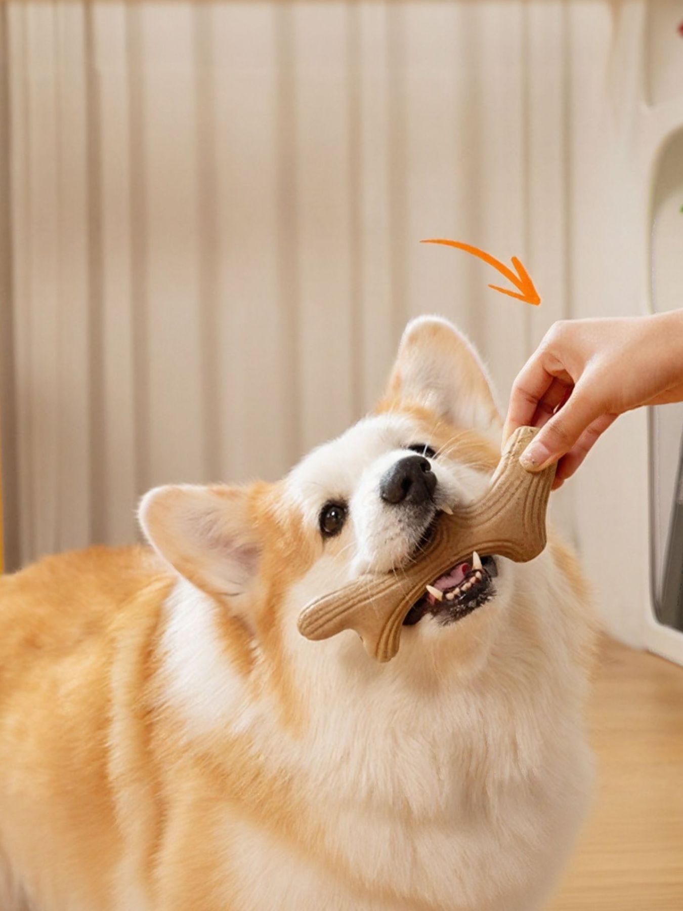Durable Antler-Shaped Dog Chew Toy