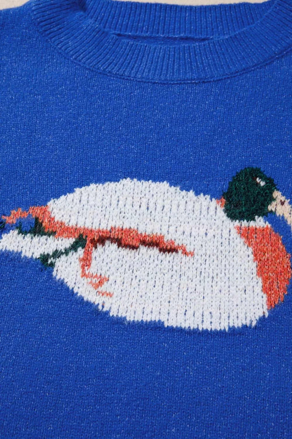 Duck Graphic Drop Shoulder Long Sleeve Sweater
