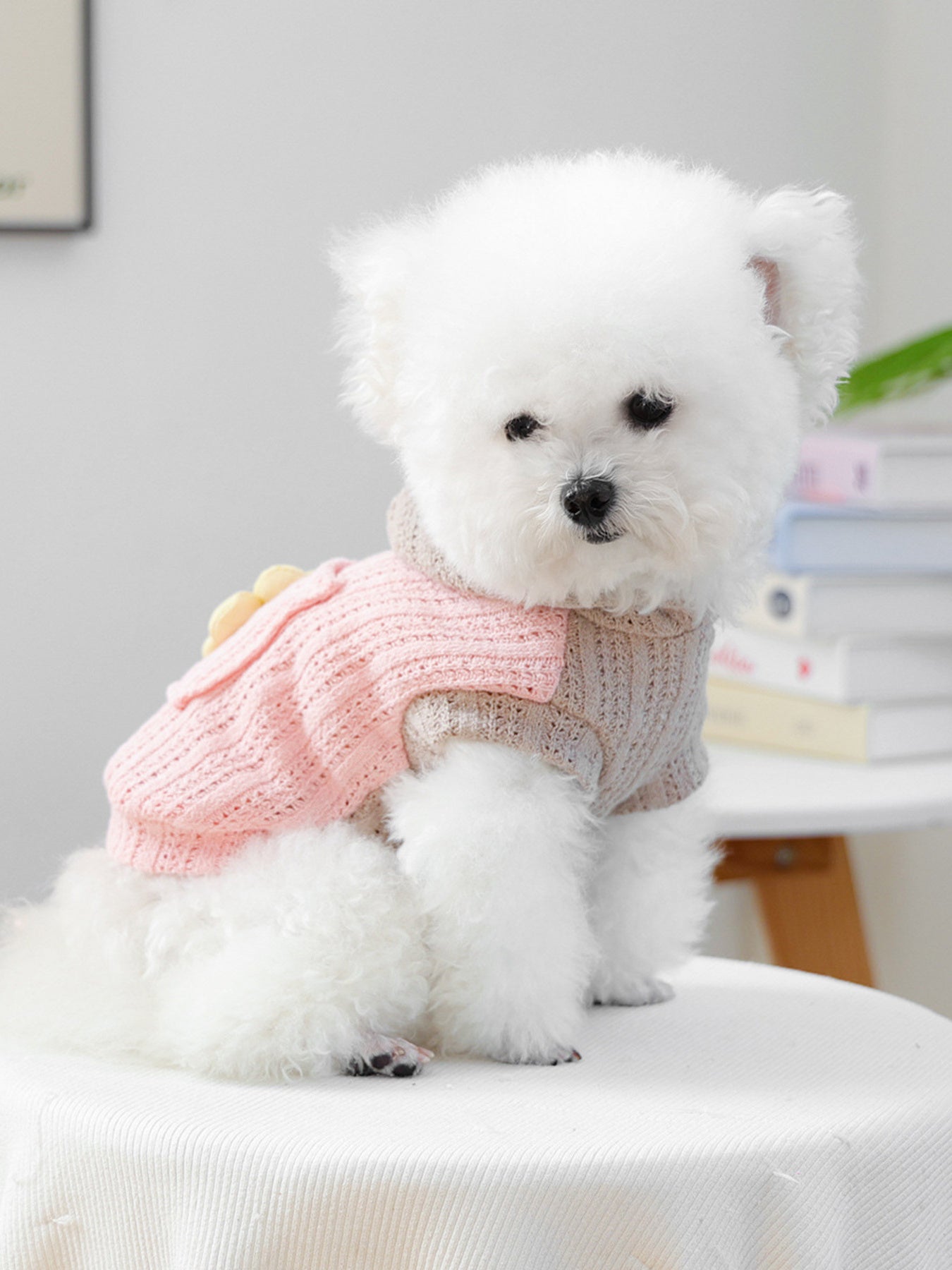 Flower Knitted Pet Hoodie