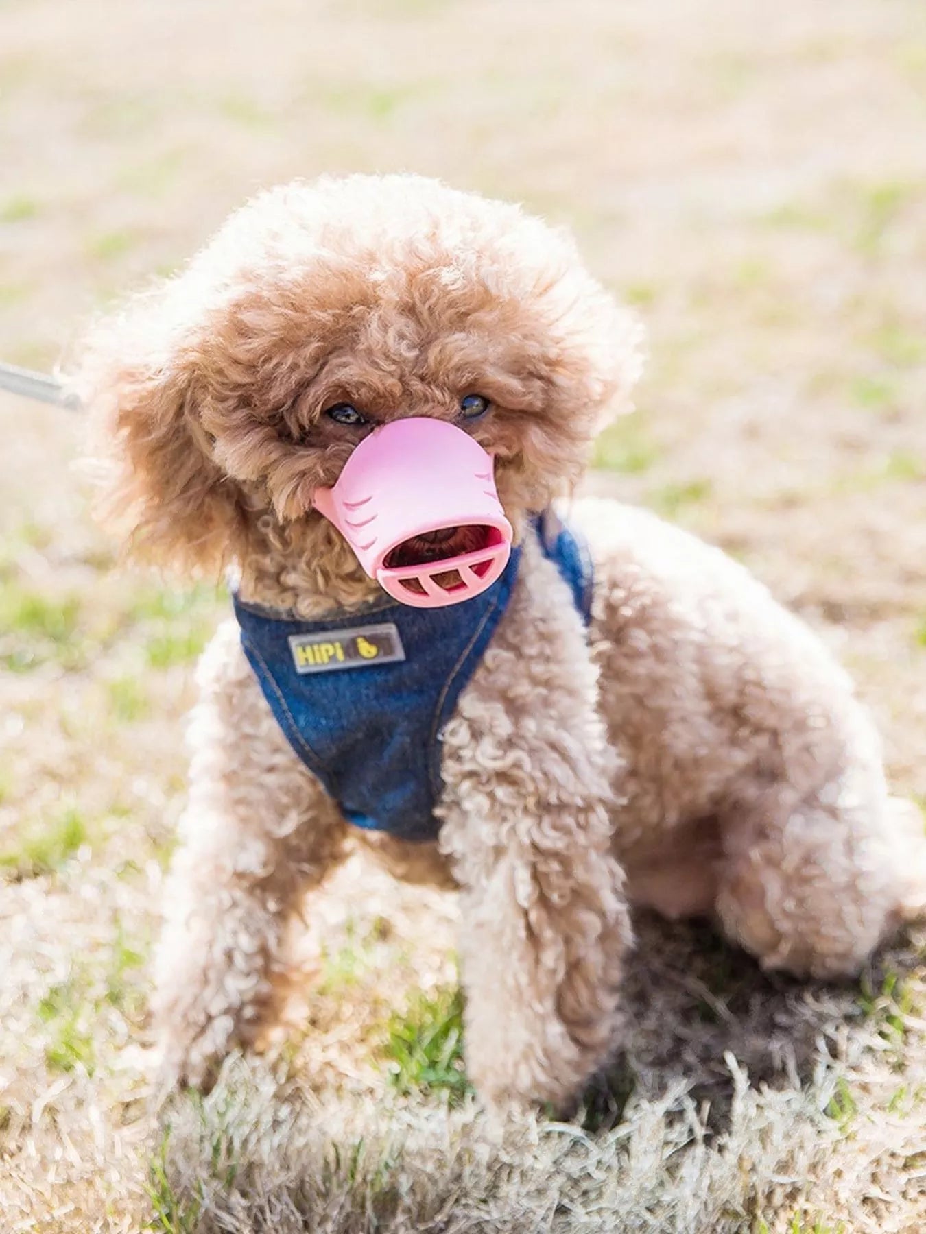 Duck-Billed Style Pet Muzzle