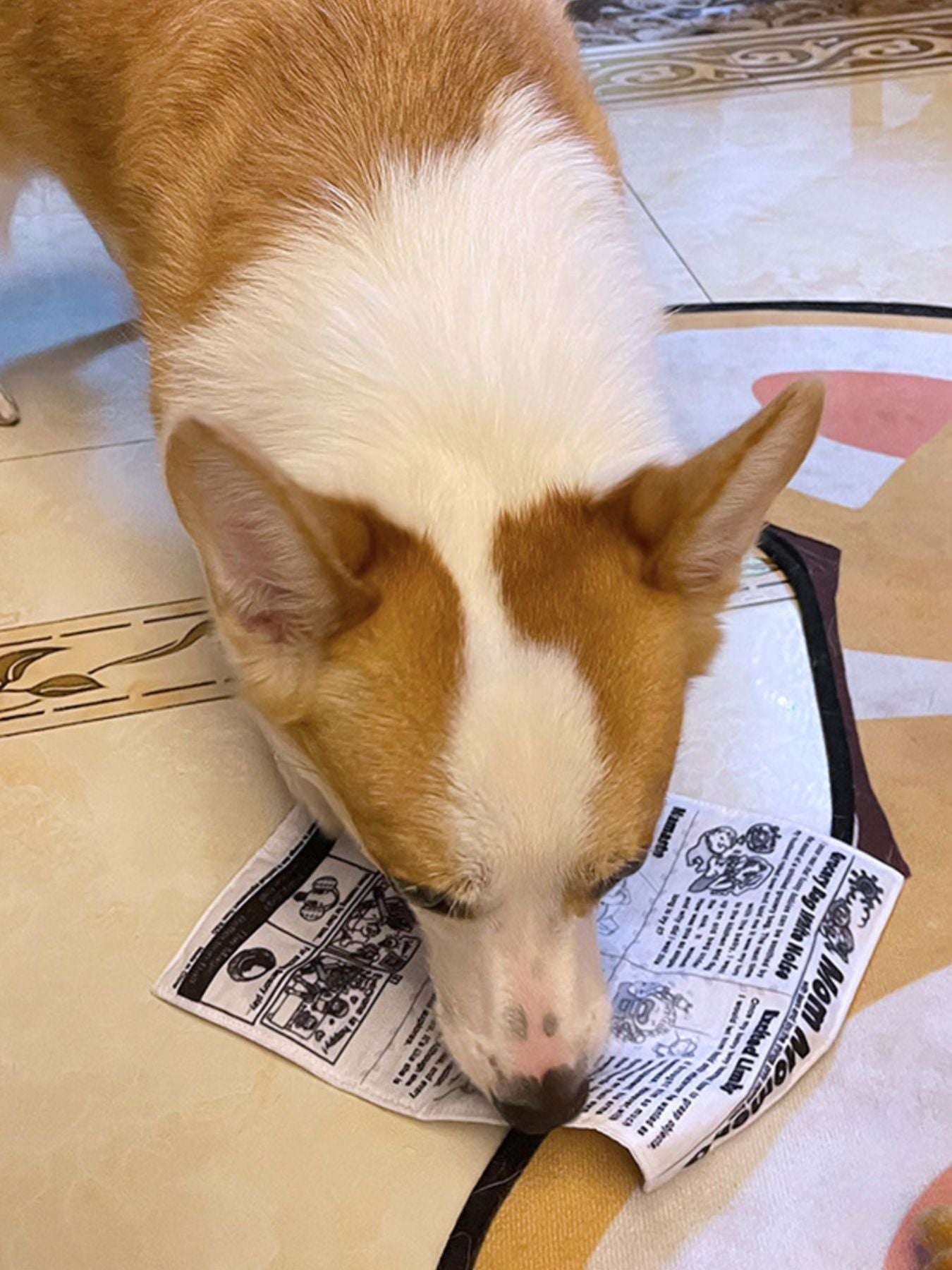 Newspaper Style Pet Sound Toy