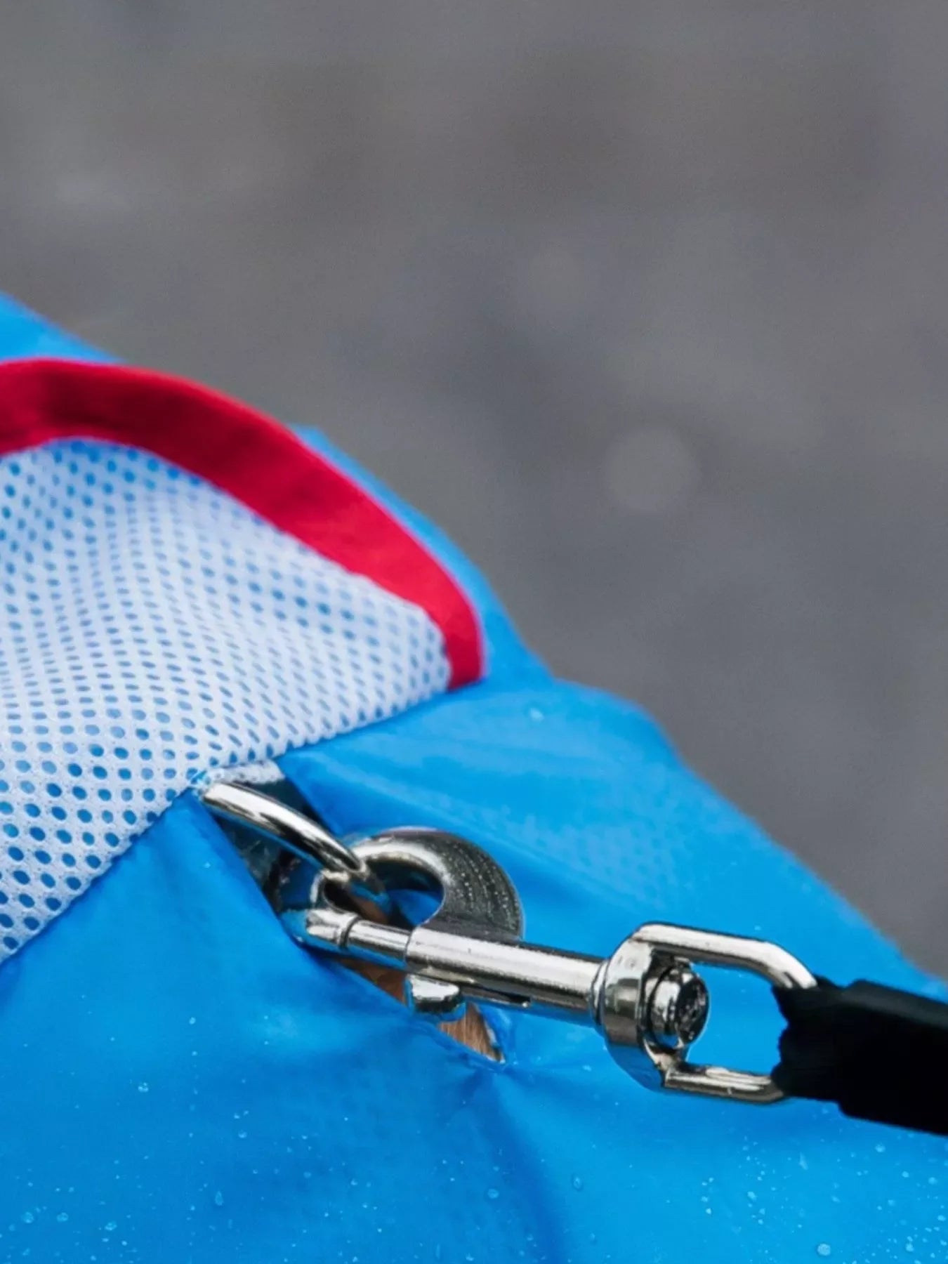 Dinosaur Style Waterproof Dog Raincoat with Hood