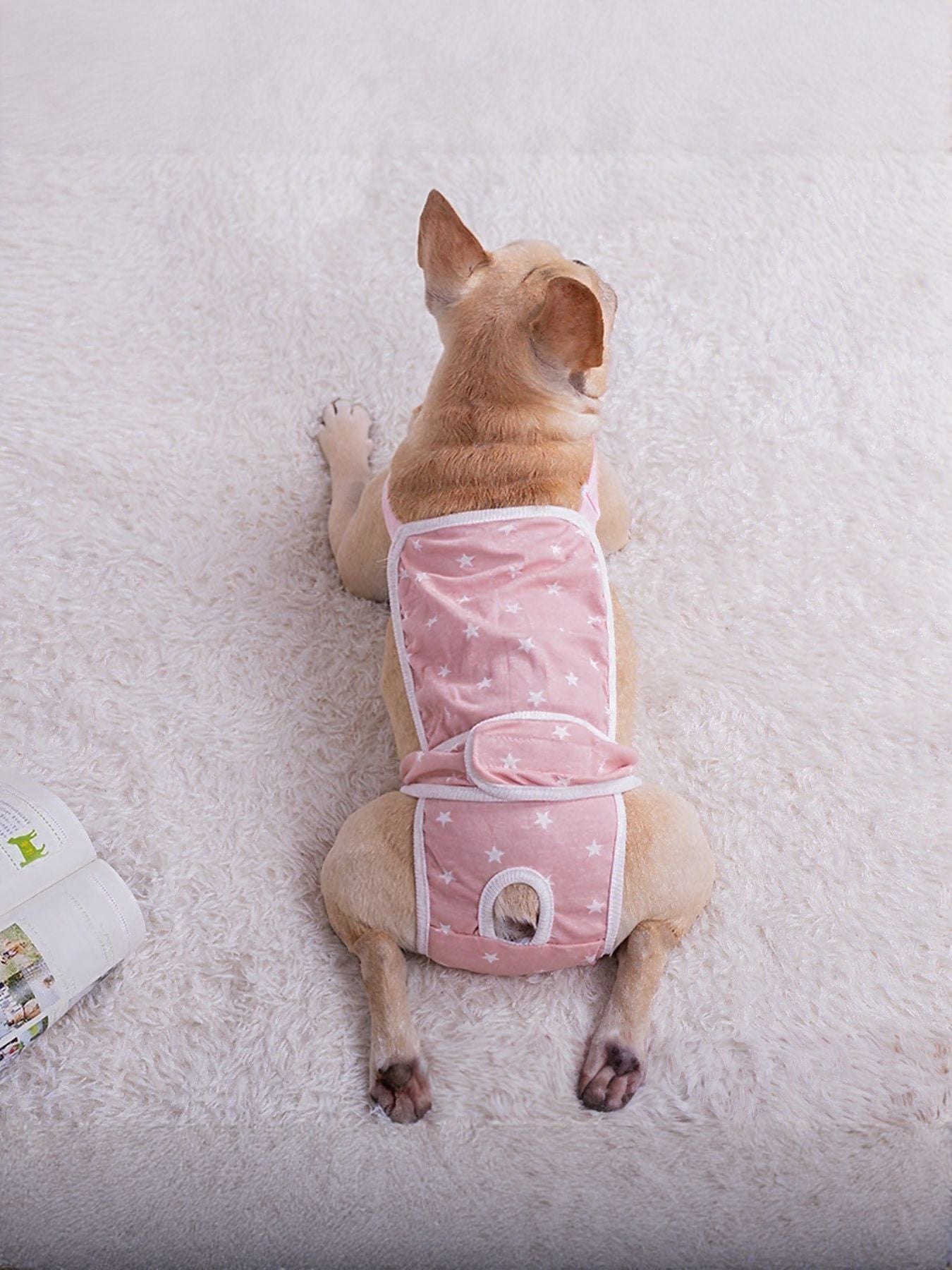 Anti-Harassment Pet Functional Clothing