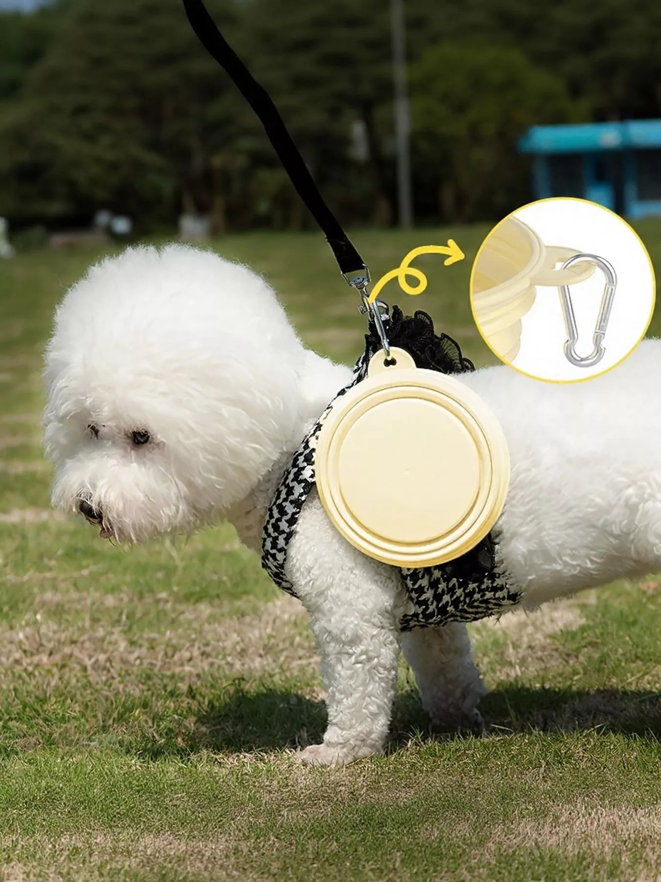 Portable Collapsible Pet Bowls