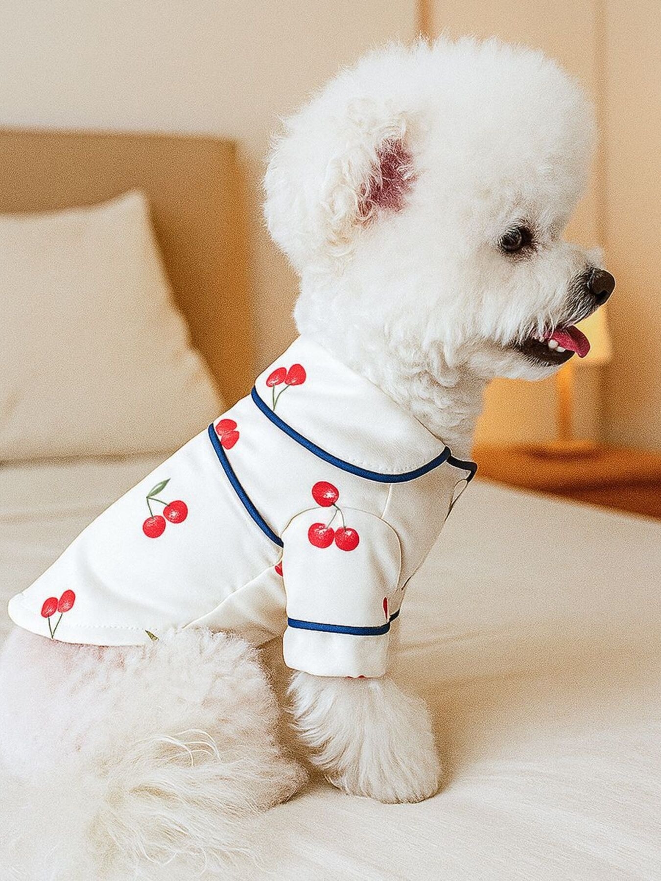 Satin Pet Pajamas with Contrast Piping