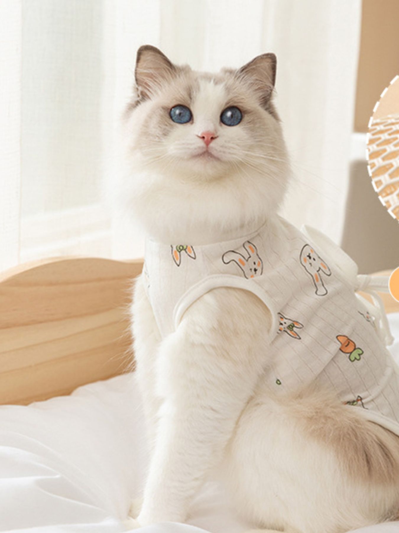 Adjustable Tie Pet Recovery Suit