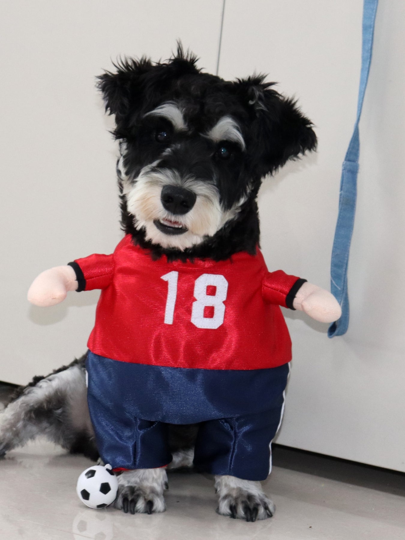 Number Pet Jumpsuit